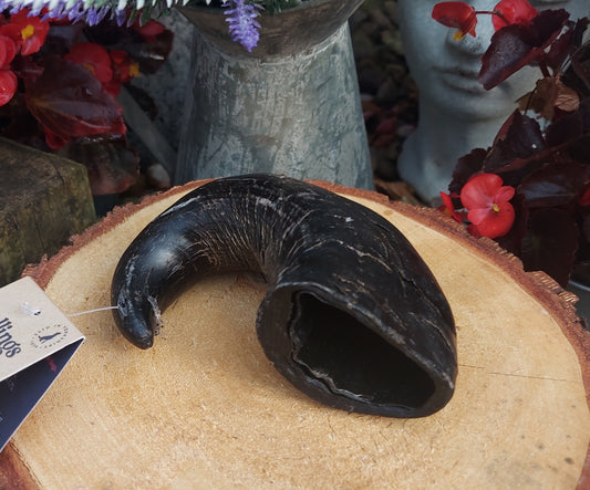 100% Buffalo horn