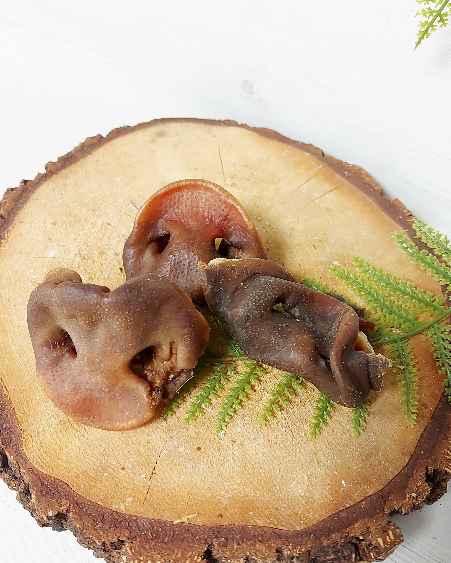 Dried pig snout